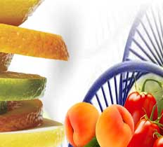 Βιοτεχνολογία Τροφίμων και Διατροφής (Food and Nutritional Biotechnology)